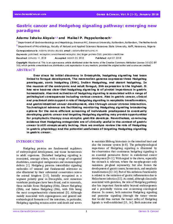 (PDF) Gastric cancer and Hedgehog signaling pathway: Emerging new paradigms