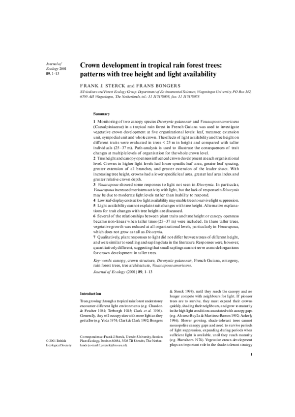 (PDF) Crown development in tropical rain forest trees: patterns with ...
