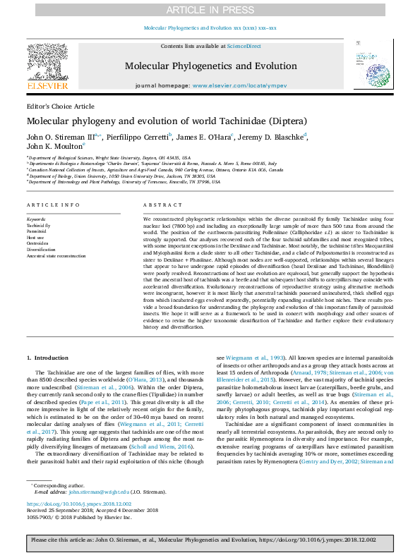 (PDF) Molecular phylogeny and evolution of world tachinidae (DIPTERA)
