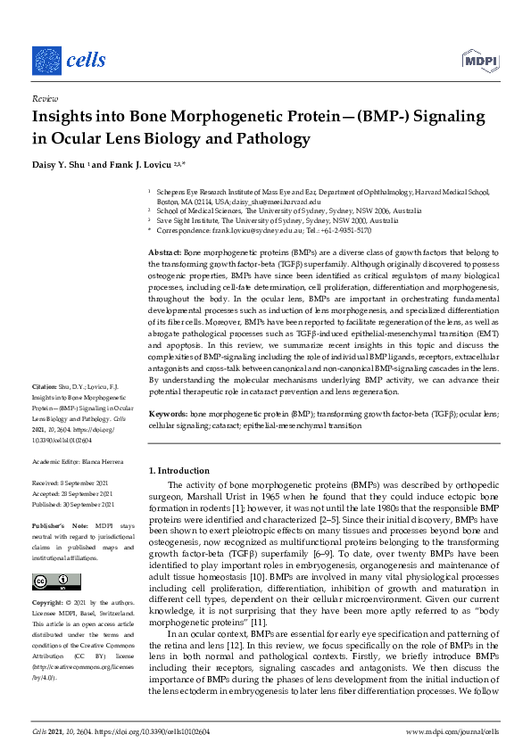 (PDF) Insights into Bone Morphogenetic Protein—(BMP-) Signaling in ...