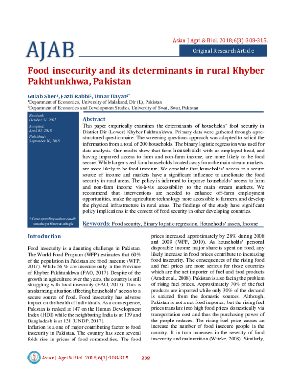 (PDF) Food insecurity and its determinants in rural Khyber Pakhtunkhwa ...