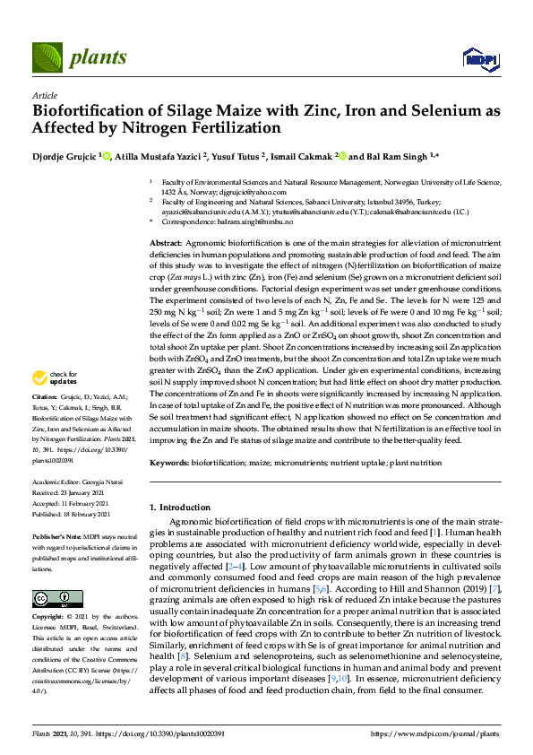 (PDF) Biofortification of Silage Maize with Zinc, Iron and Selenium as ...