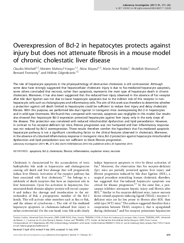 (PDF) Overexpression of Bcl-2 in hepatocytes protects against injury ...
