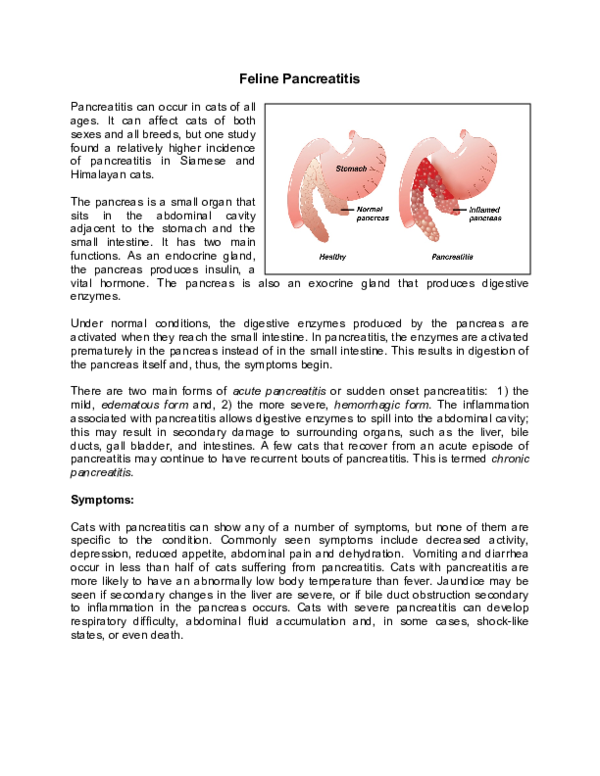View of (PDF) Feline pancreatitis