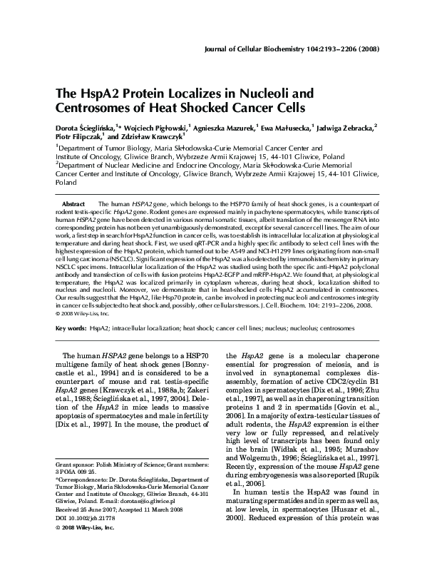 (PDF) The HspA2 protein localizes in nucleoli and centrosomes of heat ...