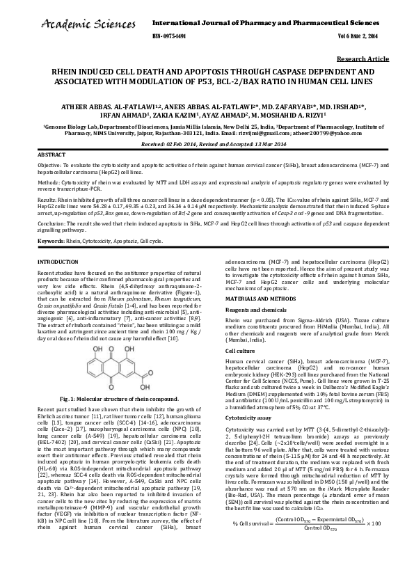 (PDF) Rhein Induced Cell Death and Apoptosis Through Caspase Dependent ...