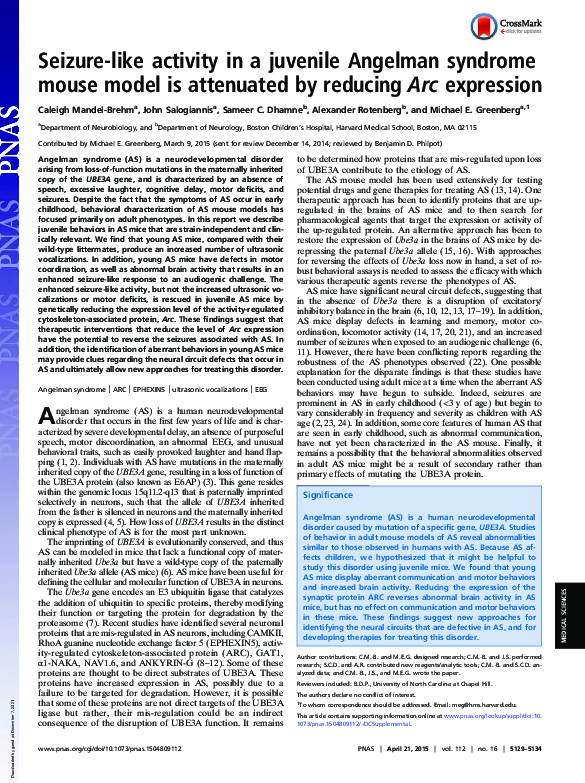 (PDF) Seizure-like activity in a juvenile Angelman syndrome mouse model ...