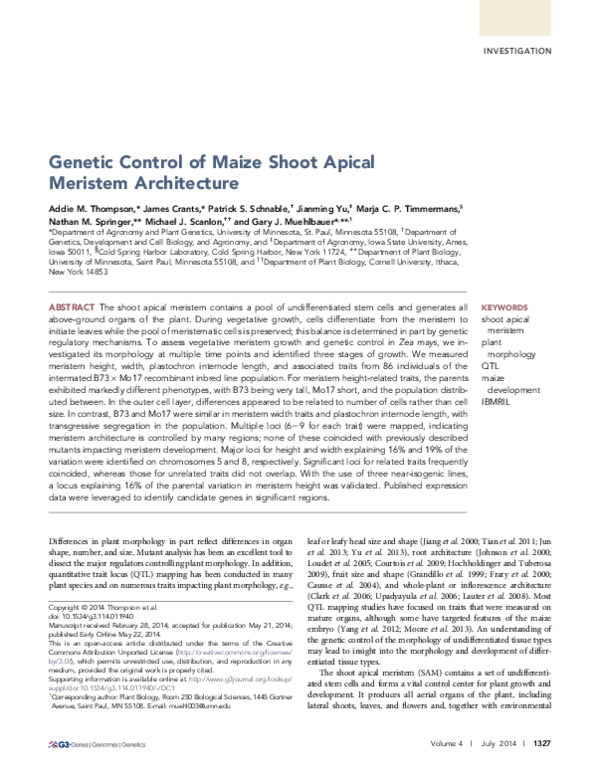 (PDF) Genetic control of maize shoot apical meristem architecture