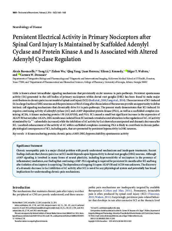 (PDF) Persistent Electrical Activity in Primary Nociceptors after ...