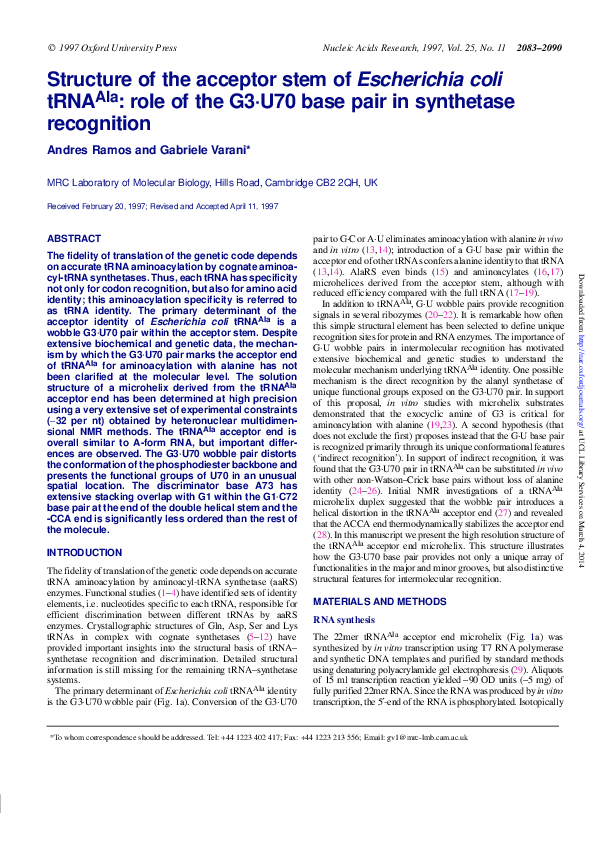 (PDF) Structure of the acceptor stem of Escherichia coli tRNAAla: role ...