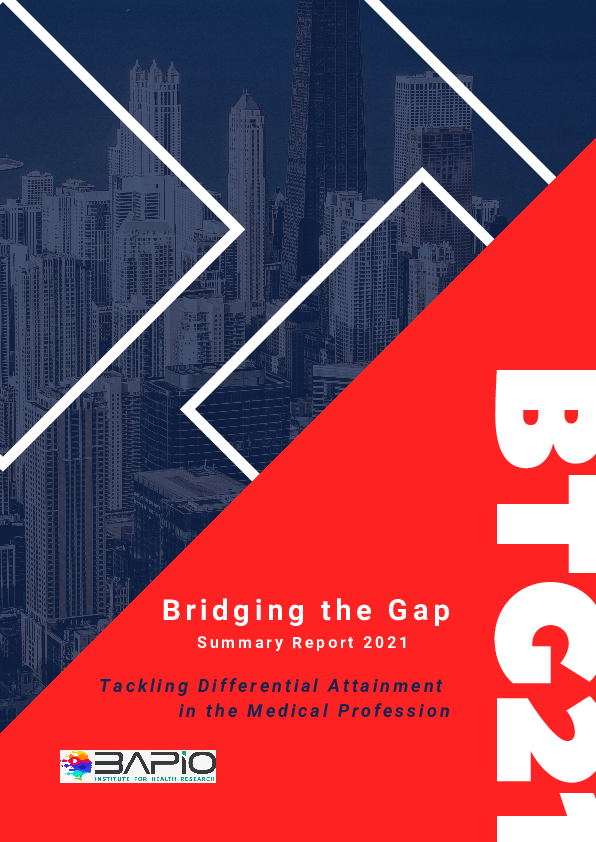 (PDF) Bridging the Gap 2021- Summary Report