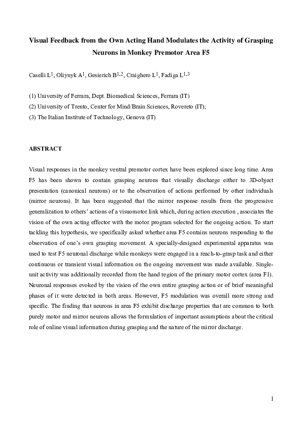 (PDF) Visual Feedback from the Own Acting Hand Modulates the Activity ...