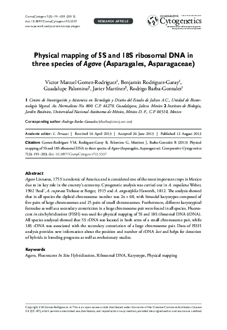(PDF) Physical mapping of 5S and 18S ribosomal DNA in three species of ...