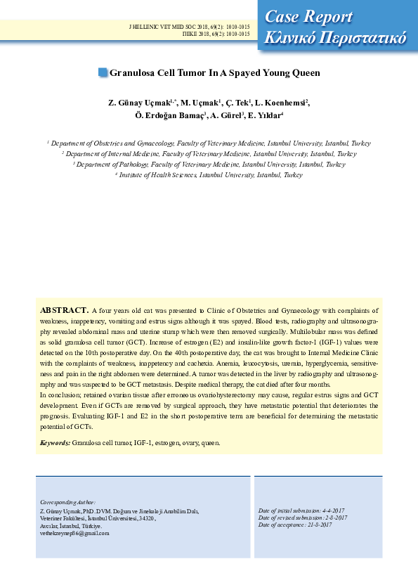 (PDF) Granulosa Cell Tumor In A Spayed Young Queen