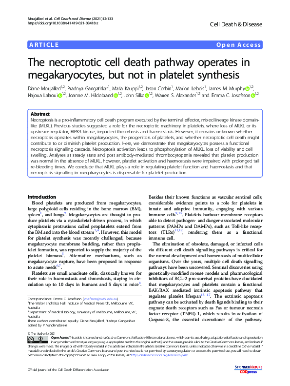 (PDF) The necroptotic cell death pathway operates in megakaryocytes ...
