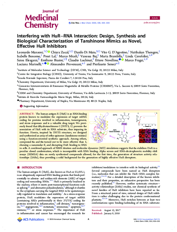 (PDF) Interfering with HuR–RNA Interaction: Design, Synthesis and ...