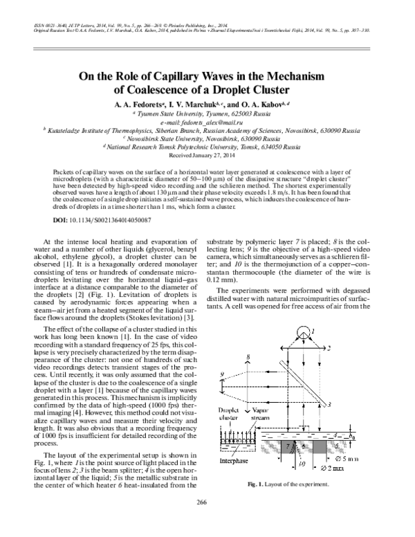 (PDF) On the role of capillary waves in the mechanism of coalescence of ...