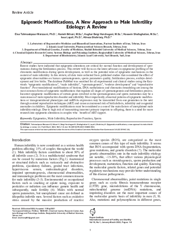 (PDF) Epigenetic Modifications, A New Approach to Male Infertility ...
