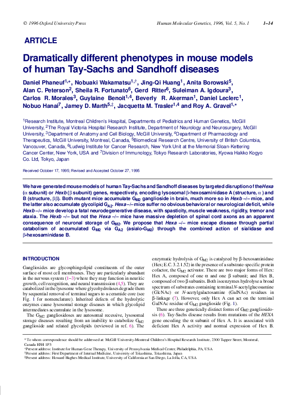 (PDF) Dramatically Different Phenotypes In Mouse Models of Human Tay ...