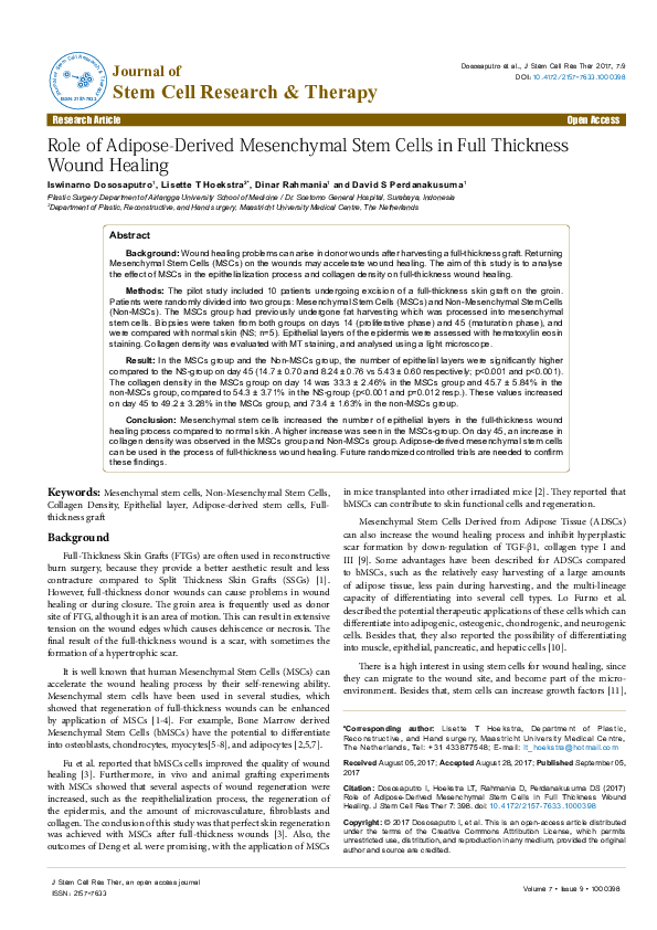 (PDF) Role of Adipose-Derived Mesenchymal Stem Cells in Full Thickness ...