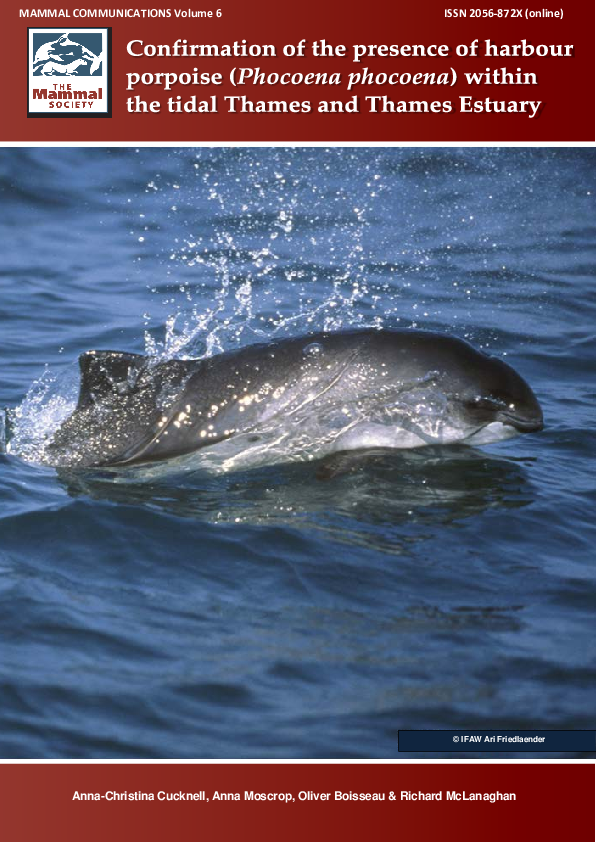 (PDF) Confirmation of the presence of harbour porpoise (Phocoena ...