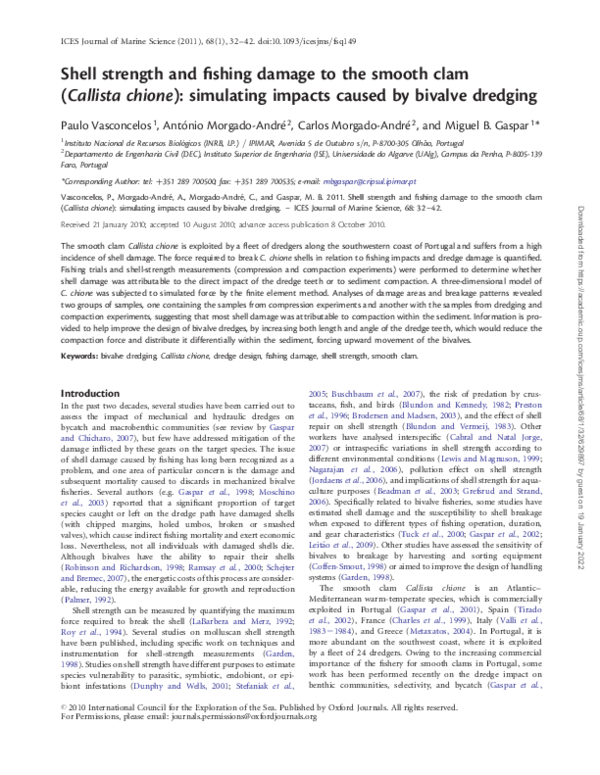 (PDF) Shell strength and fishing damage to the smooth clam (Callista ...