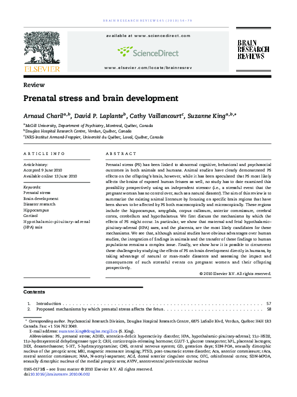 (PDF) Prenatal stress and brain development