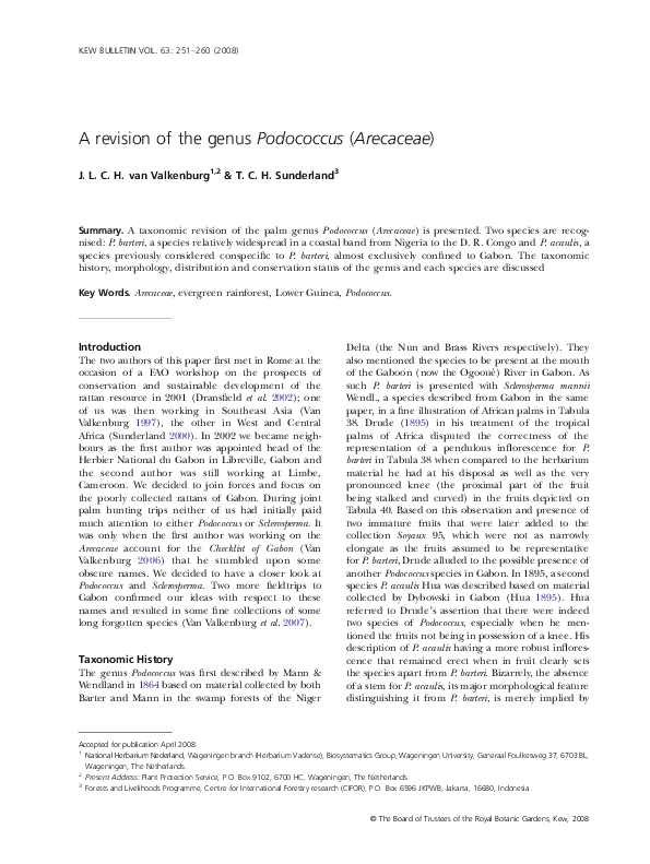 (PDF) A revision of the genus Podococcus