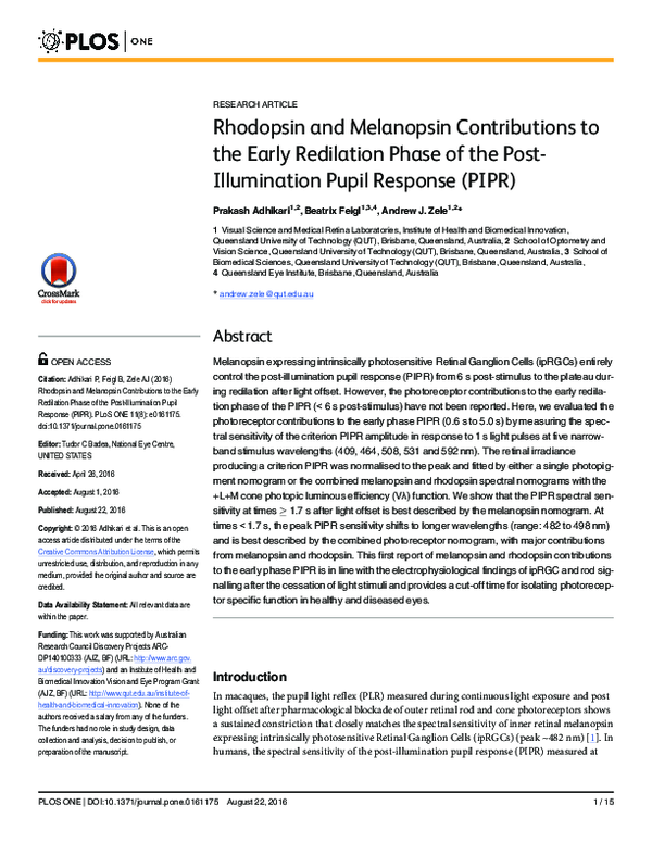(PDF) Rhodopsin and Melanopsin Contributions to the Early Redilation ...