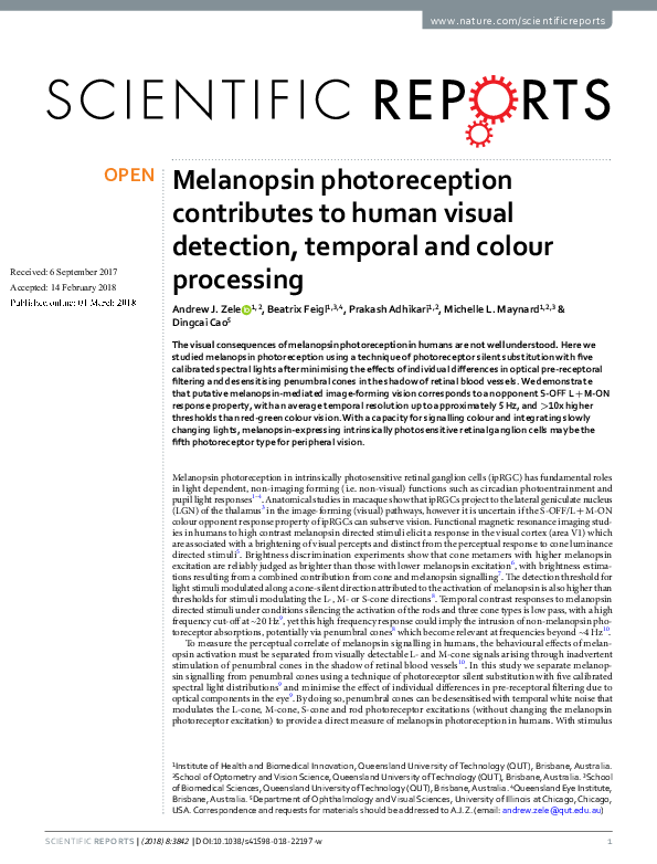 (PDF) Melanopsin photoreception contributes to human visual detection ...
