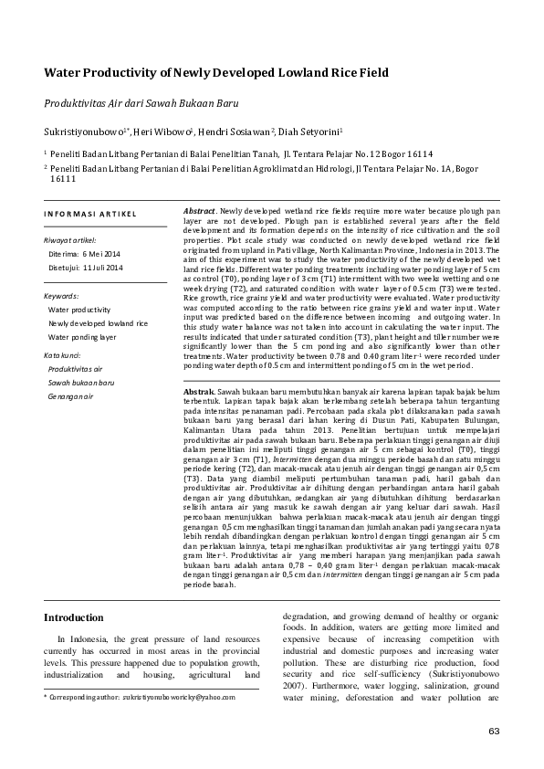 (PDF) Water Productivity of Newly Developed Lowland Rice Field