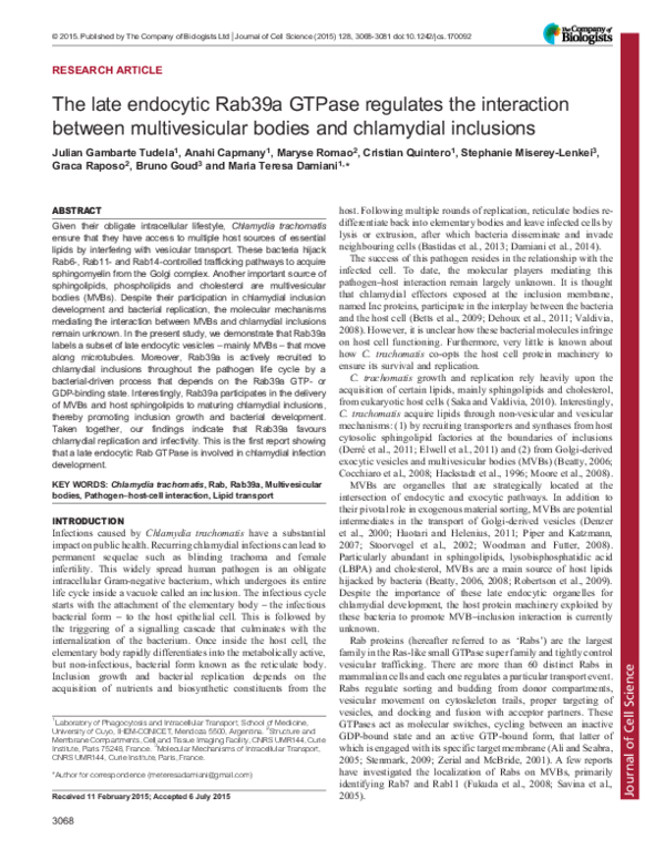 (PDF) The late endocytic Rab39a GTPase regulates multivesicular bodies ...