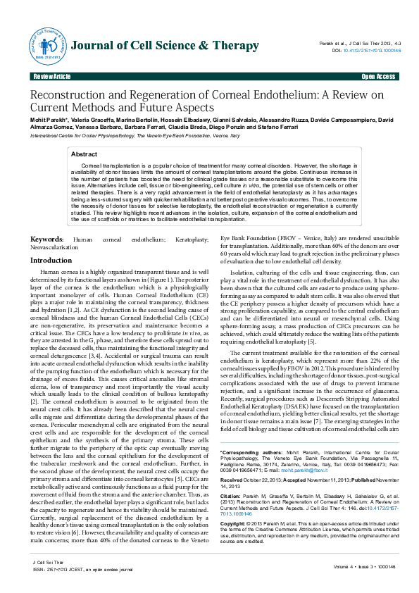 (PDF) Reconstruction and regeneration of the corneal endothelium: a ...