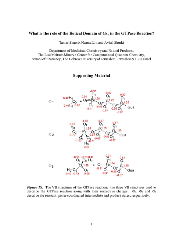 (PDF) What Is the Role of the Helical Domain of Gs α in the GTPase ...