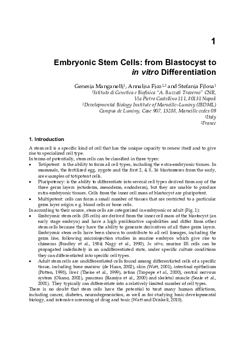(PDF) Embryonic Stem Cells: from Blastocyst to in vitro Differentiation