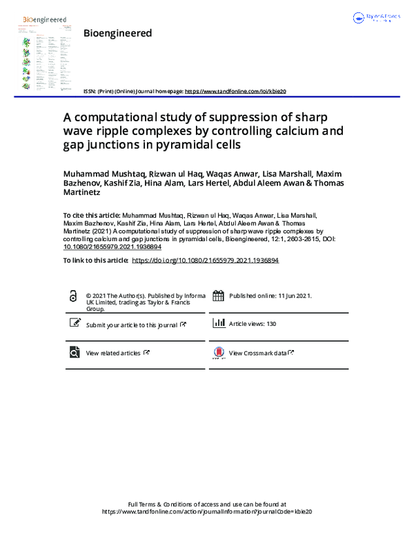 (PDF) A computational study of suppression of sharp wave ripple ...