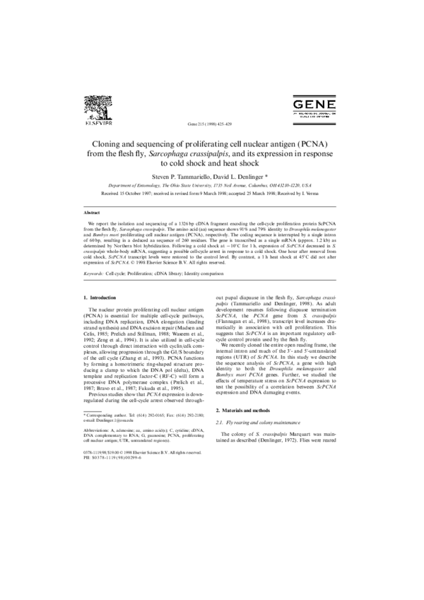 (PDF) Cloning and sequencing of proliferating cell nuclear antigen ...