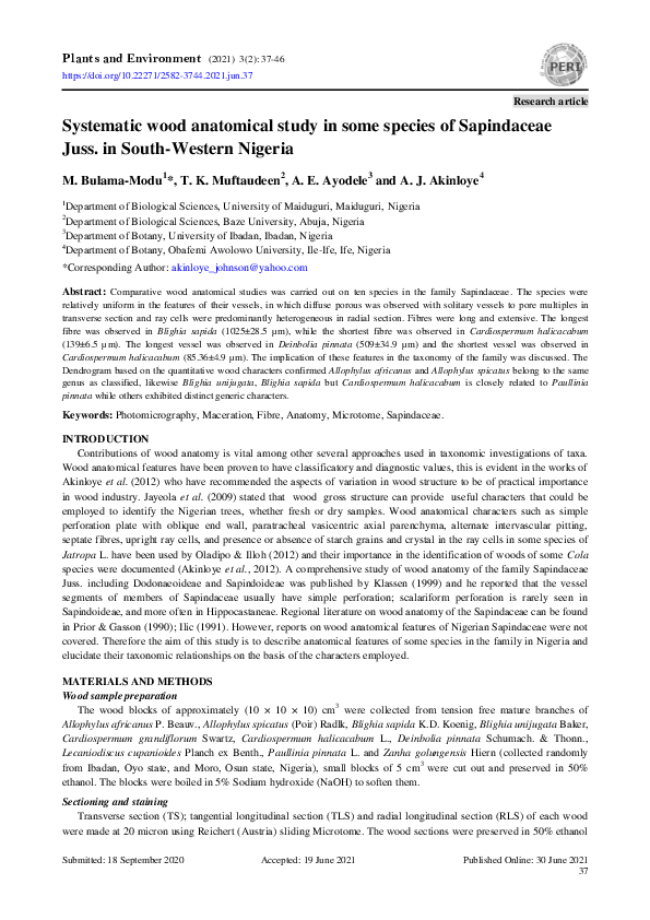  PDF Systematic Wood Anatomical Study In Some Species Of Sapindaceae 