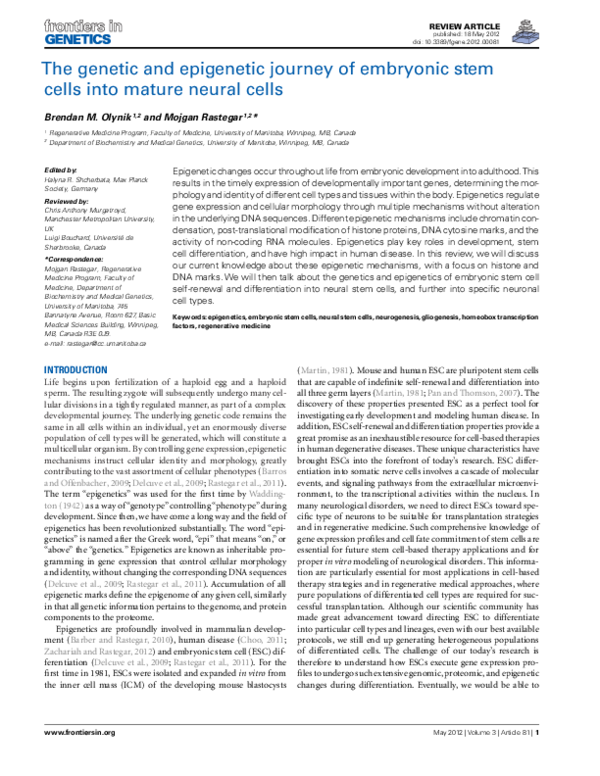 (PDF) The Genetic and Epigenetic Journey of Embryonic Stem Cells into ...