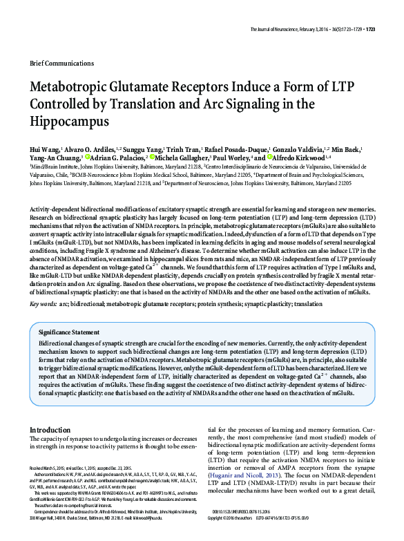 (PDF) Metabotropic Glutamate Receptors Induce a Form of LTP Controlled ...