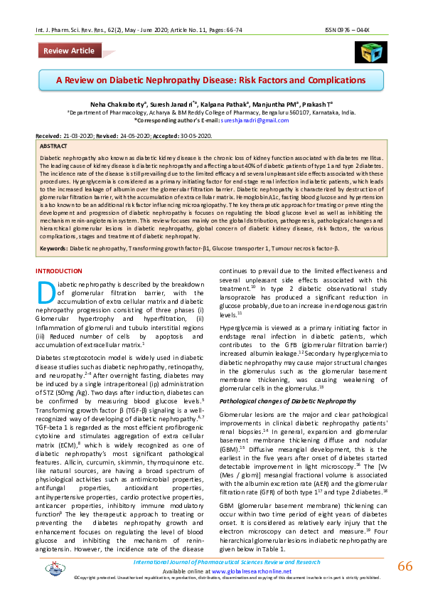 (PDF) A Review on Diabetic Nephropathy Disease : Risk Factors and ...