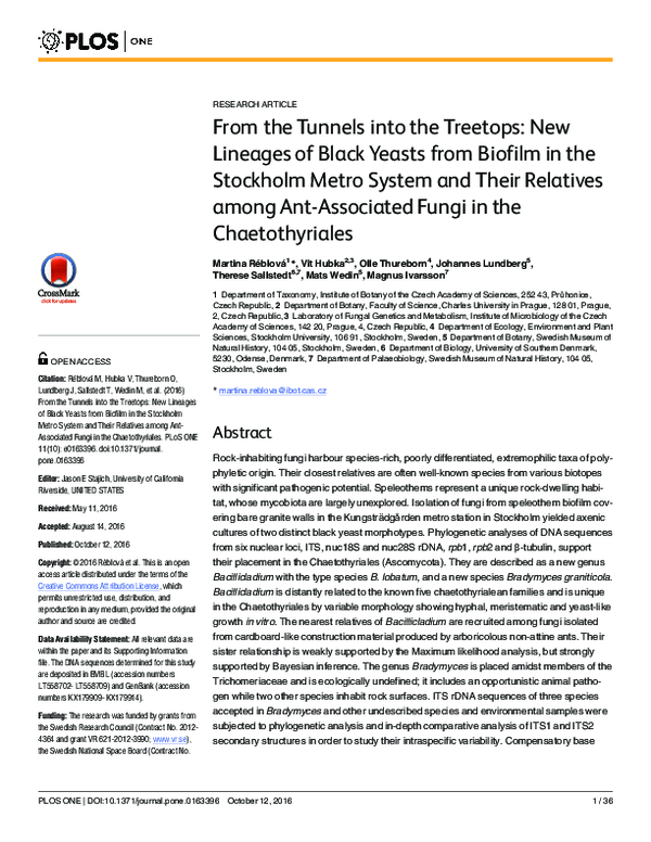 (PDF) From the Tunnels into the Treetops: New Lineages of Black Yeasts ...