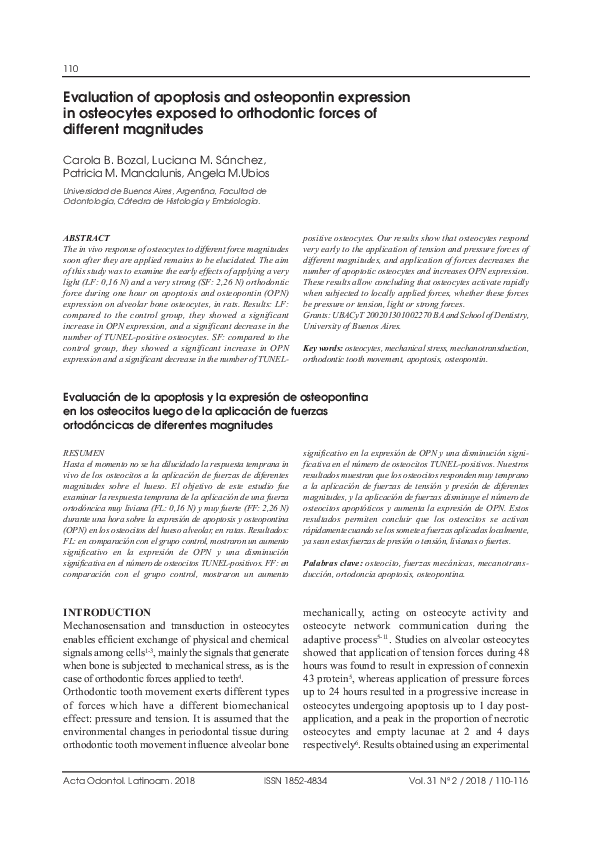 (PDF) Evaluation of apoptosis and osteopontin expression in osteocytes ...