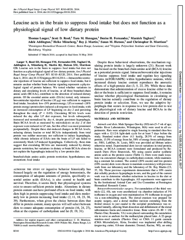 (PDF) Leucine acts in the brain to suppress food intake but does not ...