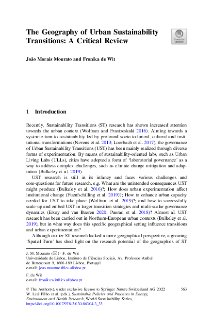 (PDF) The Geography of Urban Sustainability Transitions: A Critical Review