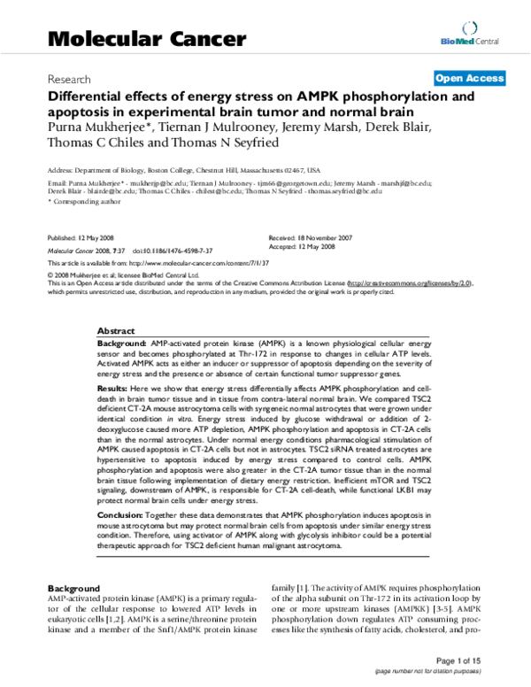 (PDF) Differential effects of energy stress on AMPK phosphorylation and ...
