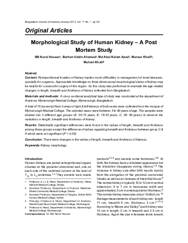 (PDF) Morphological Study of Human Kidney – A Post Mortem Study