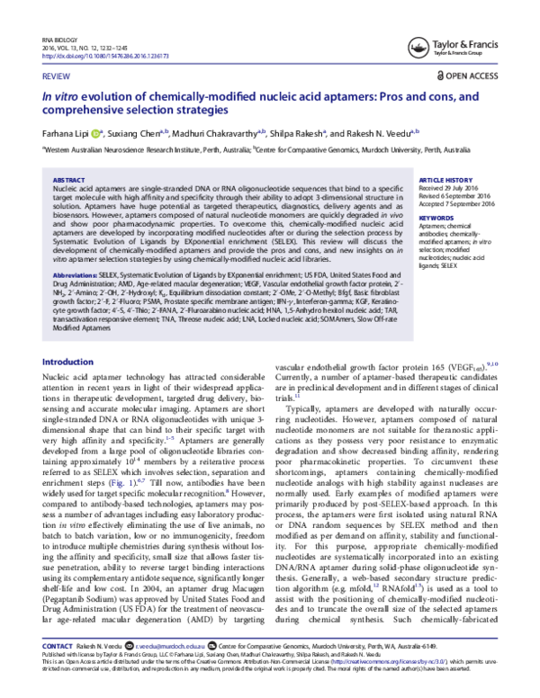 (PDF) In vitro evolution of chemically-modified nucleic acid aptamers ...