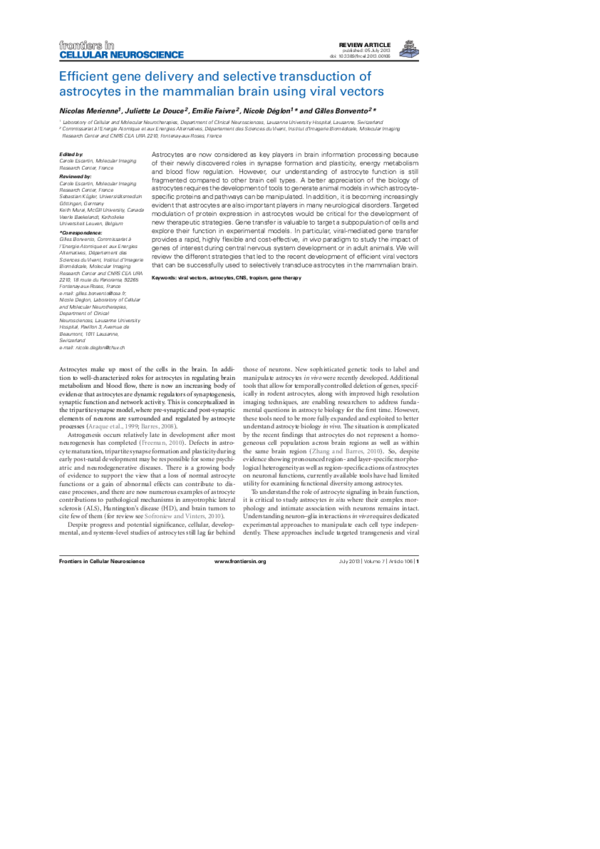 (PDF) Efficient gene delivery and selective transduction of astrocytes ...