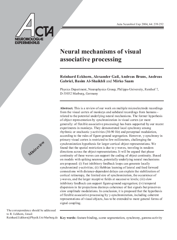 (PDF) Neural mechanisms of visual associative processing